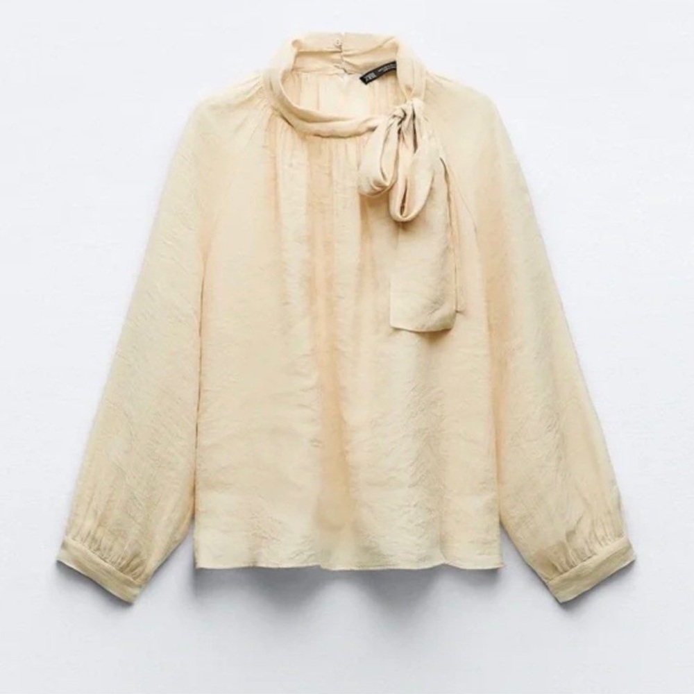 Zara Organza Blouse with Bow Details